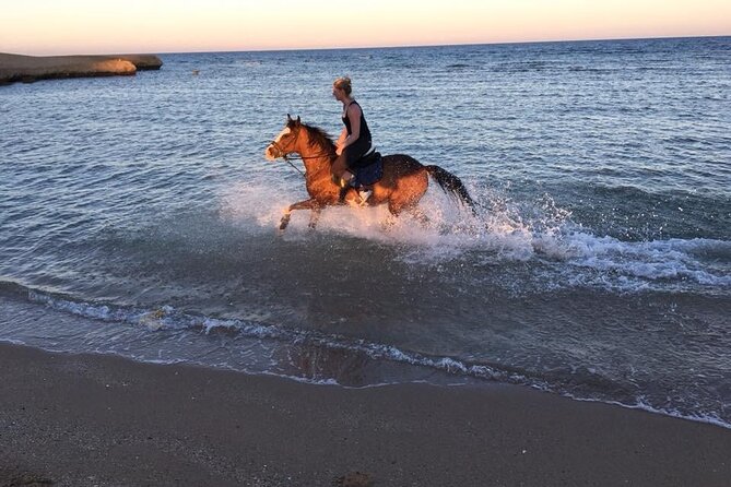 2 Hours Horse Riding Adventure in The Sea & Desert - Hurghada - Price and Value: The $10 Headline vs the Real Total