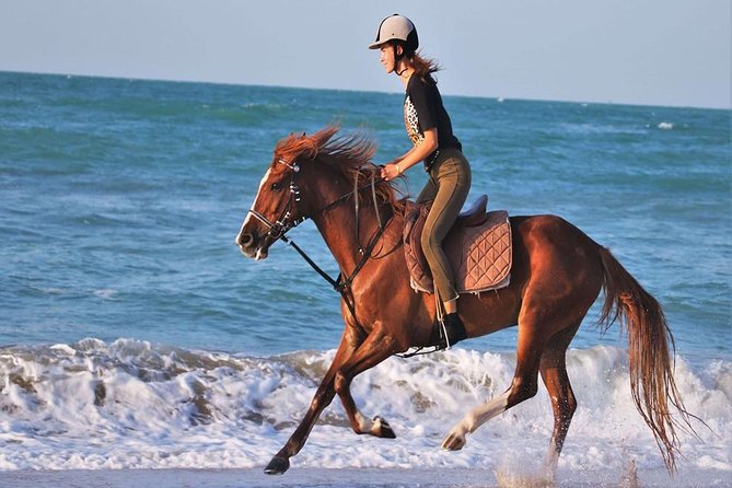 2 Hours Horse Riding Adventure in The Sea & Desert - Hurghada - Photos, Stables, and the Little Extras You’ll Probably Want