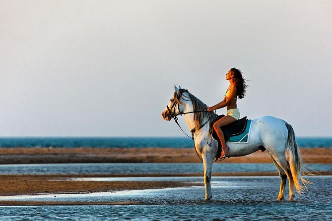 2 Hours Horse Riding Adventure in The Sea & Desert - Hurghada - Who Should Book This Horse and Desert Adventure?