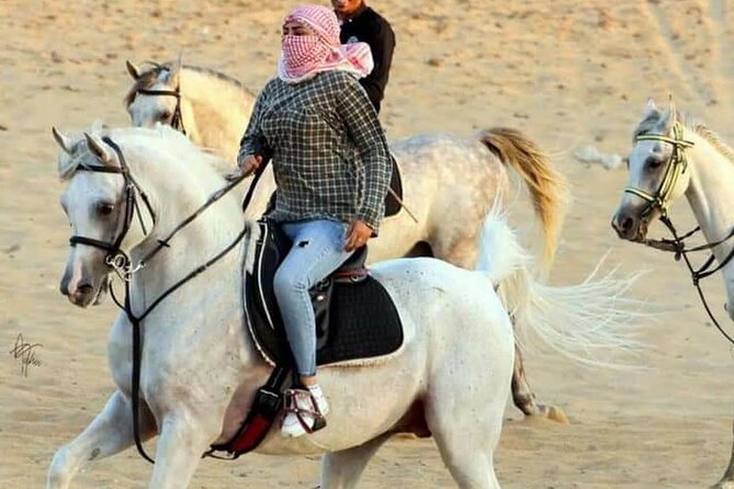 2 hours Horse Riding At Amazing Desert With Transfer - Sharm El Sheikh - What a 2-hour desert horseback ride is really like in Sharm el Sheikh