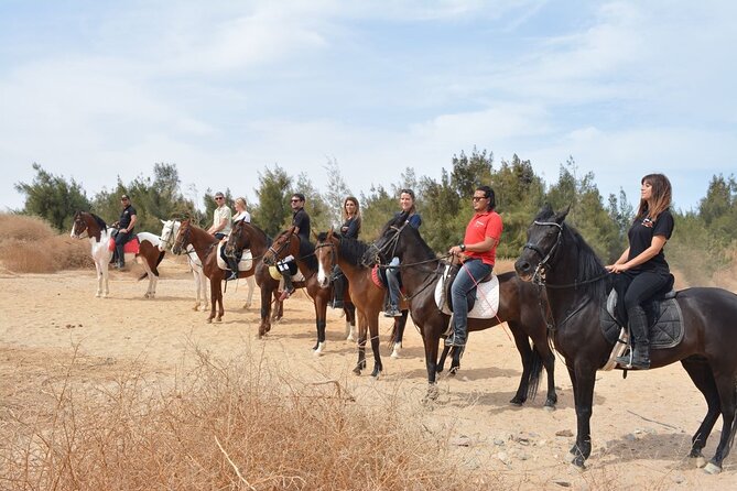 2 hours Horse Riding At Amazing Desert With Transfer - Sharm El Sheikh - Included extras that make a difference: tea, water, and helmet use