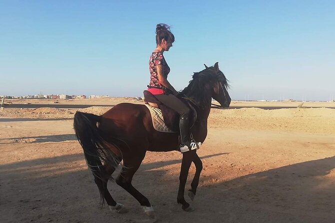 2 hours Horse Riding At Amazing Desert With Transfer - Sharm El Sheikh - Hotel pickup and the air-conditioned transfer that keeps this simple