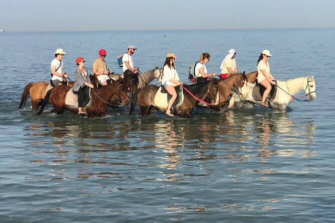 2 hours Horse Riding on The Sea and Desert- Hurghada - What I like most: the structure and the people