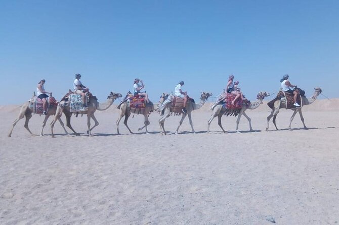2 hours Horse Riding on The Sea and Desert- Hurghada - Key highlights at a glance