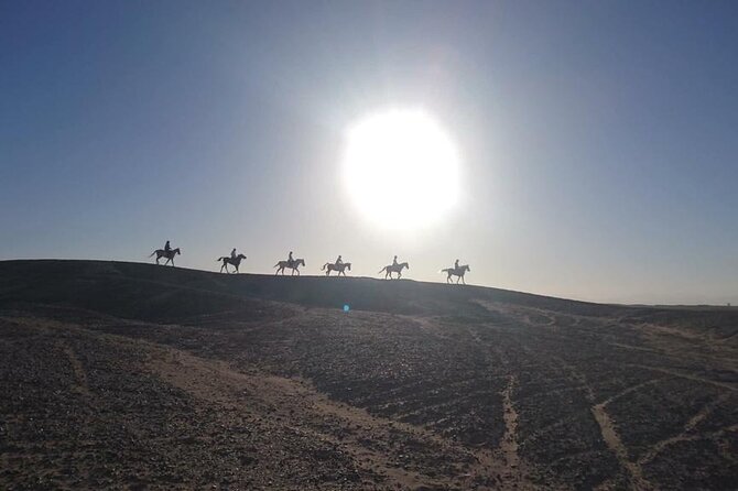 2 hours Horse Riding on The Sea and Desert- Hurghada - Desert start: walking across the area and getting your rhythm