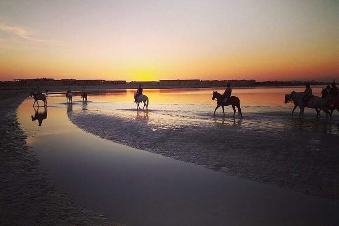 2 hours Horse Riding on The Sea and Desert- Hurghada - Red Sea ride: the shallow “dip” that many people remember