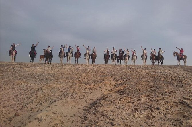 2 hours Horse Riding on The Sea and Desert- Hurghada - Horse condition and handling: the good news and the one red flag