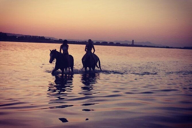 2 hours Horse Riding on The Sea and Desert- Hurghada - Price and value: what $18.82 really buys you