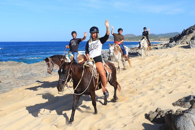 2 Hours Horseback Riding Adventure in Cabo - From San José del Cabo to a sanctuary with a giant tortoise
