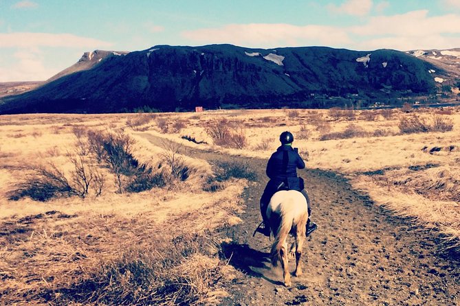 2 hours Private Horse Riding to Lake Hafravatn, Reykjavík - Mos - Key points to know before you go
