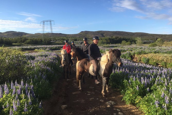 2 hours Private Horse Riding to Lake Hafravatn, Reykjavík - Mos - Meeting at Akrar 1: where the day starts and how you settle in