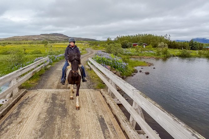 2 hours Private Horse Riding to Lake Hafravatn, Reykjavík - Mos - Two hours of riding: what “private” really changes on the trail