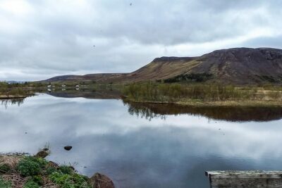 2 hours Private Horse Riding to Lake Hafravatn, Reykjavík - Mos - The stable warm-up: how a beginner-friendly ride stays fun