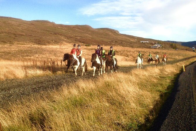 2 hours Private Horse Riding to Lake Hafravatn, Reykjavík - Mos - Timing, weather, and comfort: what can actually make or break the day