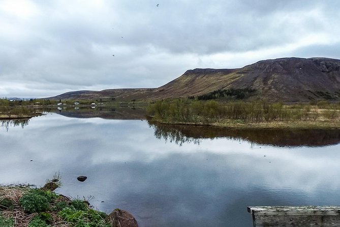 2 hours Private Horse Riding to Lake Hafravatn, Reykjavík - Mos - The stable warm-up: how a beginner-friendly ride stays fun