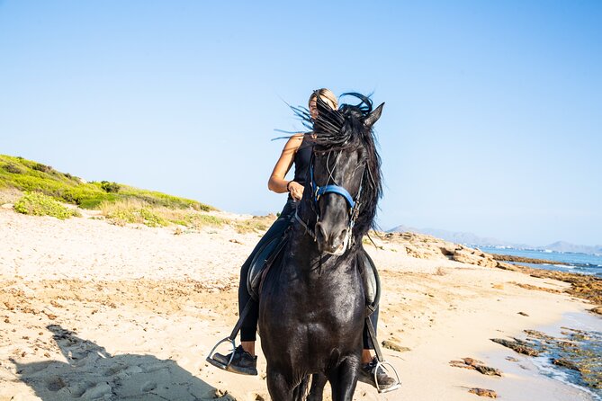 3-Hour Beach Horse Riding to Discover the Beauty of Alcudia Bay - Key things I’d bet you’ll remember