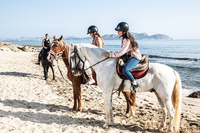 3-Hour Beach Horse Riding to Discover the Beauty of Alcudia Bay - Son Real, Son Serra de Marina, and pine-forest return
