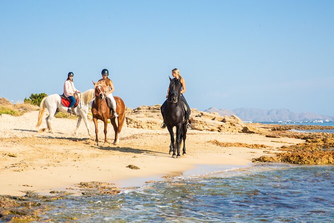3-Hour Beach Horse Riding to Discover the Beauty of Alcudia Bay - Price and what $90.12 buys you on this ride