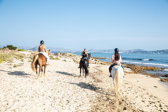 3-Hour Beach Horse Riding to Discover the Beauty of Alcudia Bay - Group size and guide flow: the part you can control
