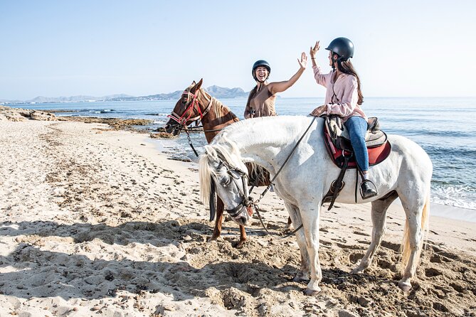 3-Hour Beach Horse Riding to Discover the Beauty of Alcudia Bay - Who this Alcudia Bay horse ride is best for