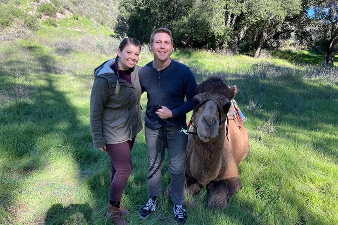 3 Hour Camel Trek into the Forest and Ranch in California - Camel Trekking Through Sylmar Forest: The 3-Hour Flow