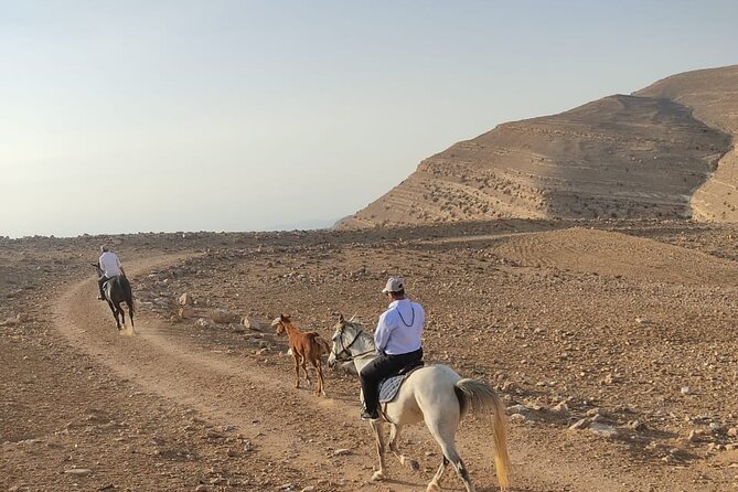 3 Hour Horse Riding Adventure around the Petra Area - The 3-Hour Itinerary: Stops That Give You Context
