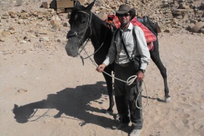 3 Hour Horse Riding Adventure around the Petra Area - Meet the Horses: What Arabian Means for Your Ride