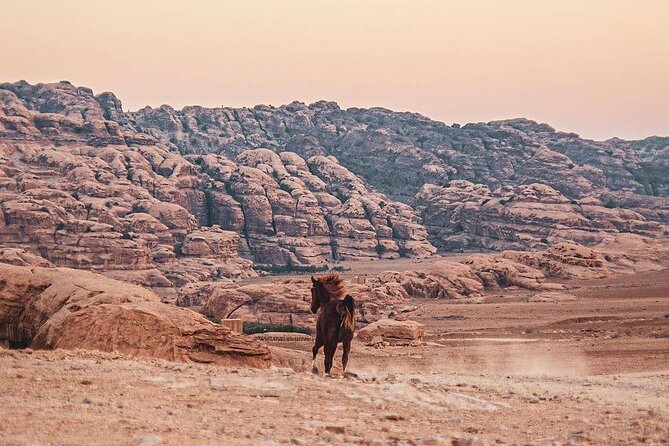 3 Hour Horse Riding Adventure around the Petra Area - Price and Value: Is $145 Worth It?