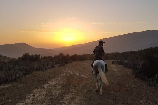 3-hour Horseback Ride Mountain and Beach Morocco - Beach Time: Walking, Swimming/Walking, and Where the Gallops Happen