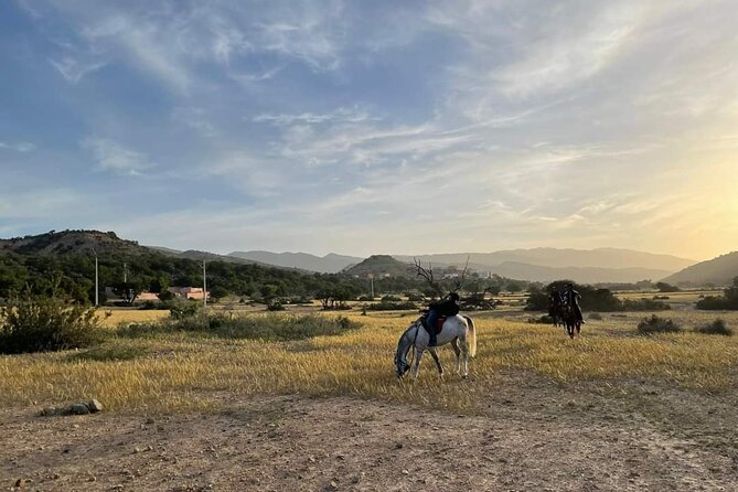 3-hour Horseback Ride Mountain and Beach Morocco - Climbing the Berber Mountains: Panoramas and Controlled Effort