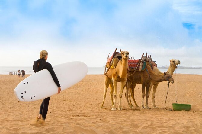 3 hours horse riding in Essaouira, beach, forest and dunes - Key Things That Make This Ride Special