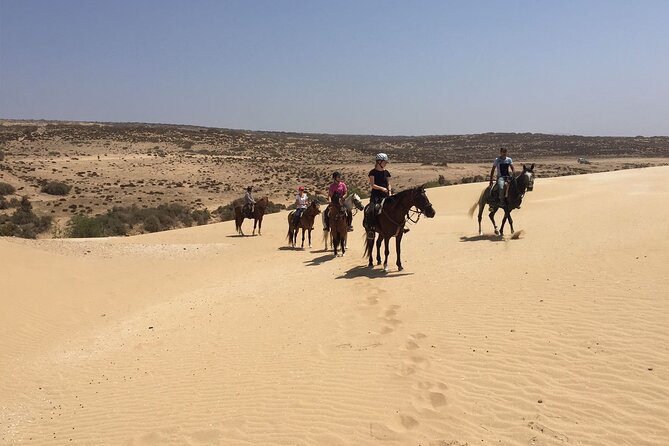 3 hours horse riding in Essaouira, beach, forest and dunes - Why A Horse Ride From Diabat Feels Like The Real Essaouira