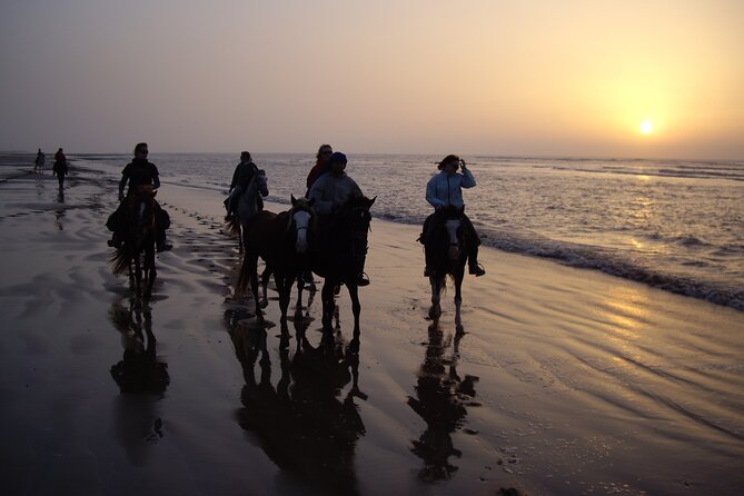 3 hours horse riding in Essaouira, beach, forest and dunes - Horses, Helmets, And Pacing For Beginners (And Kids With Experience)