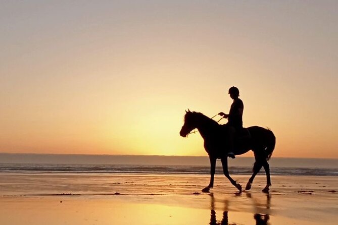3 hours horse riding in Essaouira, beach, forest and dunes - Timing Choices: Morning At 10:00 Or A Late Ride Before Sunset