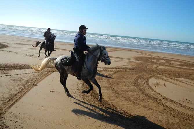 3 hours horse riding in Essaouira, beach, forest and dunes - What To Pack And How To Dress For Wind And Sand