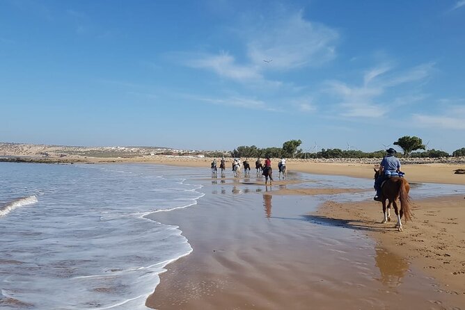 3 hours horse riding in Essaouira, beach, forest and dunes - Price And Value: Is $75.49 Per Person Worth It?