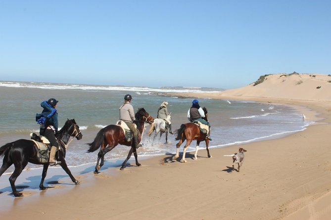 3 Hours Horse Riding with Dinner and Overnight Berber Camp - From Essaouira pickup to Diabat: low-stress start