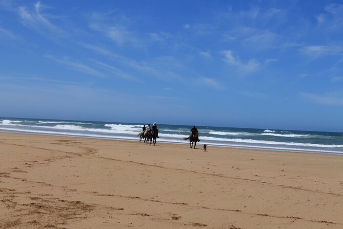 3 Hours Horse Riding with Dinner and Overnight Berber Camp - Price and value: what $216.84 really covers