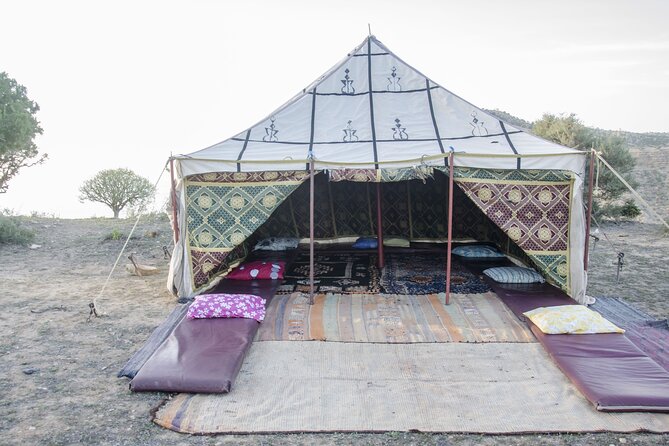 3 Hours Horse Riding with Dinner and Overnight Berber Camp - Who this tour suits best (and where it might not)