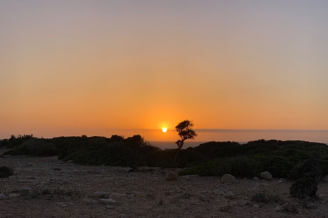 3 Hours Horse Riding with Dinner and Overnight Berber Camp - FAQ