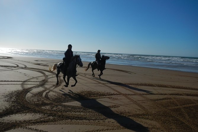 3 Hours Horse Riding with Dinner and Overnight Berber Camp - Turning point: the return ride through eucalyptus and mimosa