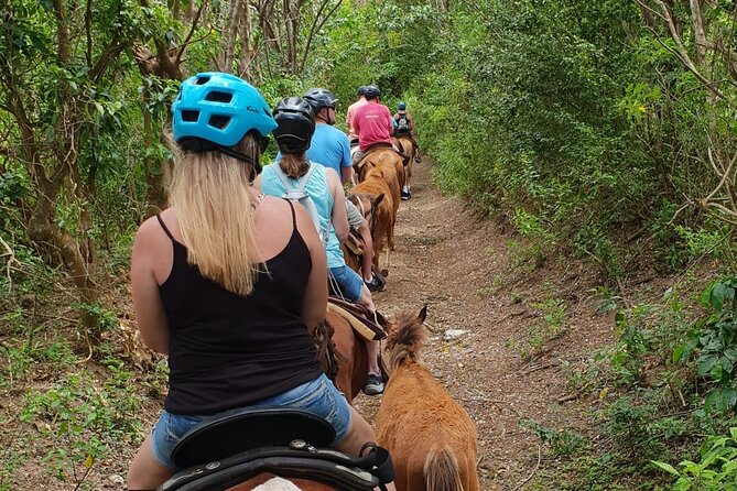 3 Hours Horseback Riding from Nature Trails to Sofa Stone - Quick Key Points to Know Before You Go