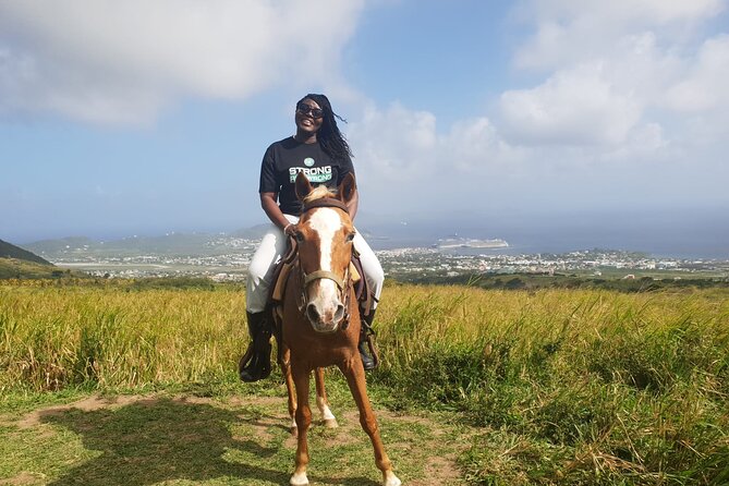 3 Hours Horseback Riding from Nature Trails to Sofa Stone - Riding Up the Mountain: Bamboo, Sea Grapes, and Wildlife Moments