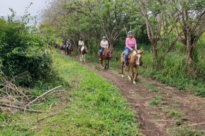 3 Hours Horseback Riding from Nature Trails to Sofa Stone - At the Stable: Instructions, Equipment, and Guide Style