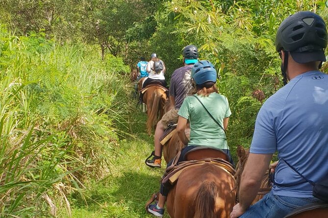 3 Hours Horseback Riding from Nature Trails to Sofa Stone - The View Break: 10 Minutes on Foot and the Sofa Stone Photo Stop