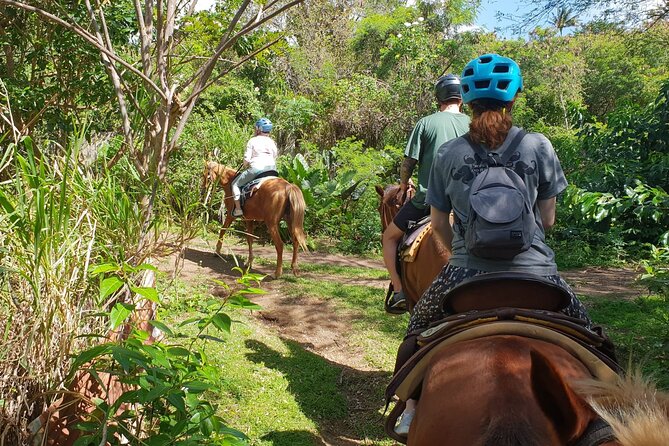 3 Hours Horseback Riding from Nature Trails to Sofa Stone - Coming Back Down: Pace, Comfort, and Refreshments