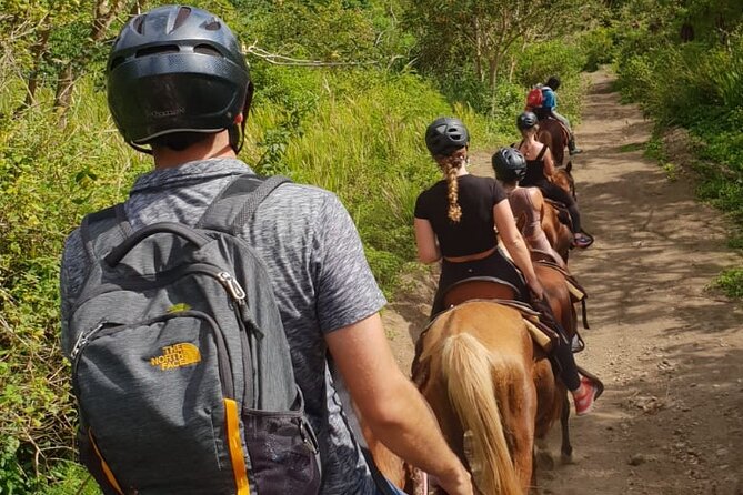 3 Hours Horseback Riding from Nature Trails to Sofa Stone - Price and Value: Is $97.50 Worth It?