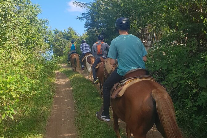 3 Hours Horseback Riding from Nature Trails to Sofa Stone - What Could Go Wrong (and How to Reduce the Risk)