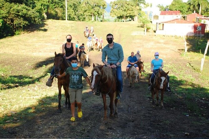 6 in 1 tours Full Day Safari, Zipline, Buggies and Horse Riding - Starting 7:30 am: pickup that sets the tone
