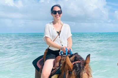 60-Minute Private Horseback Riding Experience in Turks and Caicos - The first 10 minutes: training, tack, and safety briefings